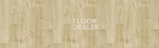 Линолеум Tarkett Bonus DUART 3 фото 1 | FLOORDEALER
